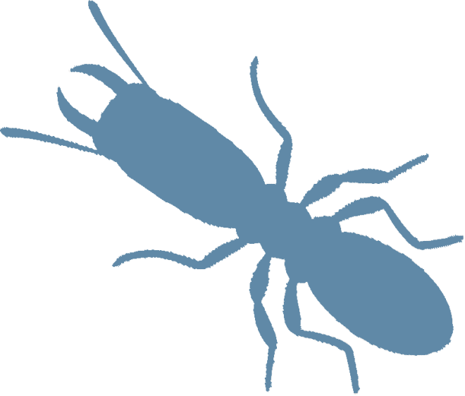 Traitement anti-termites DALLAGNOL à BISCARROSSE dans les LANDES 40