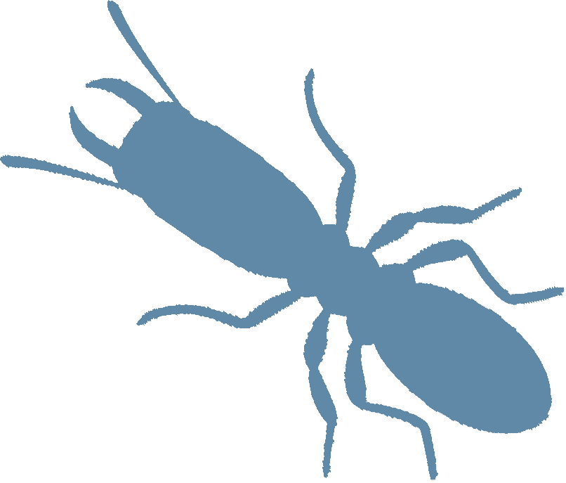 Traitement termites Anglet - Traitement anti-termites DALLAGNOL à Anglet dans les Pyrénées-Atlantiques (64)