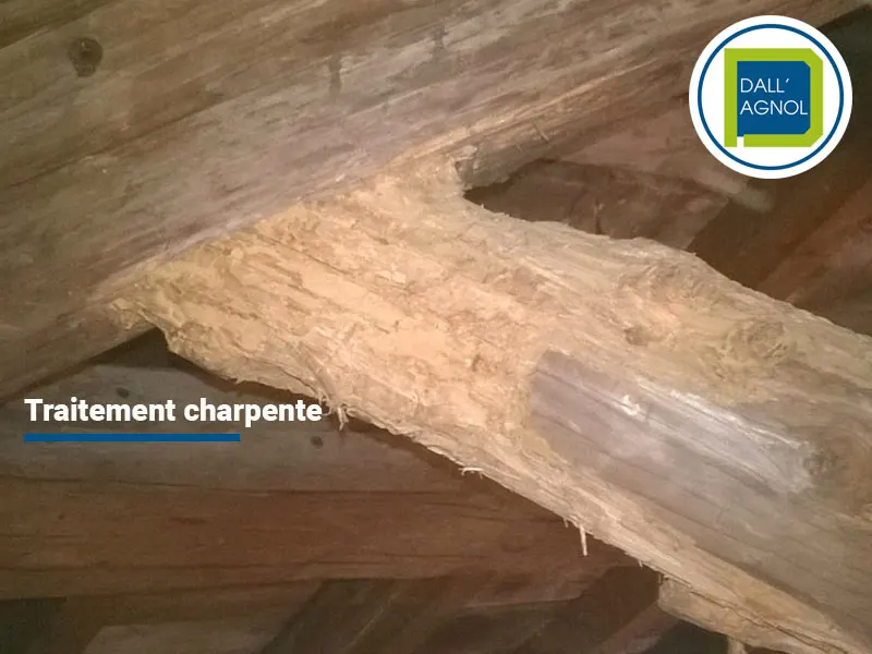 Traitement d’une charpente dans le département des Pyrénées-Atlantiques, chantier effectué par Dallagnol, expert du traitement charpente depuis 2001.